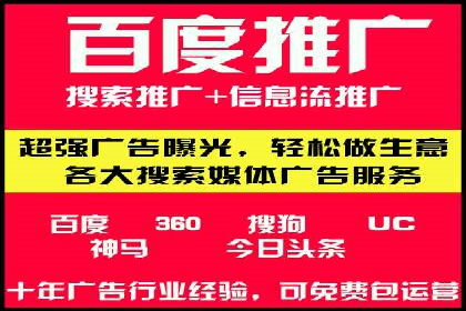 搜索引擎广告（SEM）在本地化推广中的运用案例